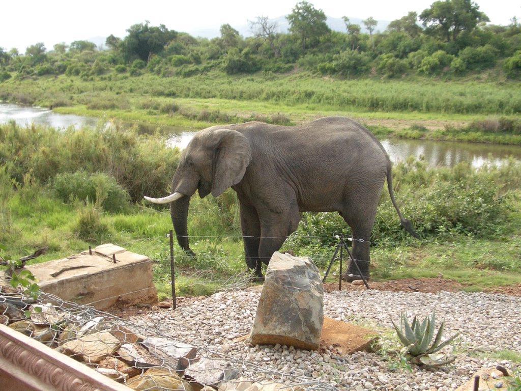 River House Lodge Malalane Exterior photo